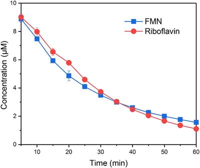 Effects of Flavin-Goethite Interaction on Goethite Reduction by Shewanella decolorationis S12